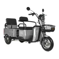 Электротрицикл IKINGI SIBTRIKE Т5 MAX серебристый
