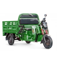 Грузовой электротрицикл Rutrike Круиз 60V/1000W зеленый